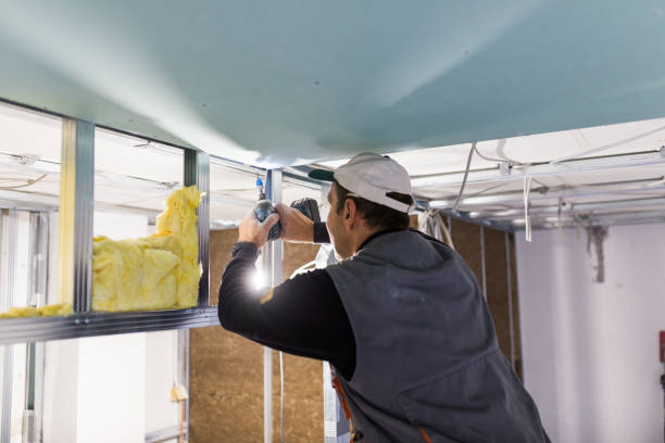 Best Specialized Insulation Services in Mclean, VA