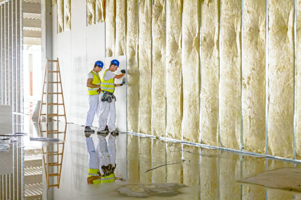 Best Energy Efficiency Insulation in Mclean, VA